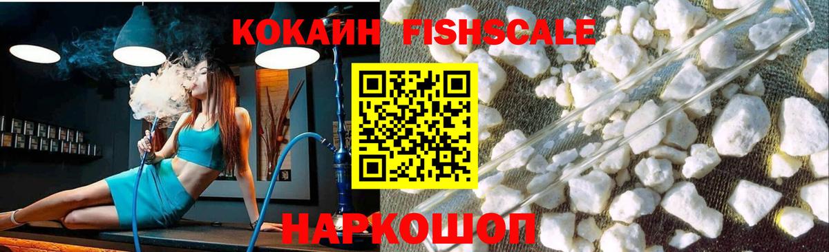 Бошки Шишки Орёл