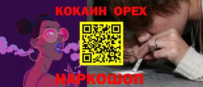 крисы Будённовск