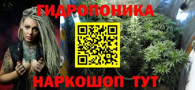 крисы Будённовск