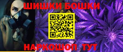 крисы Будённовск