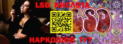PSILOCYBIN Бугуруслан