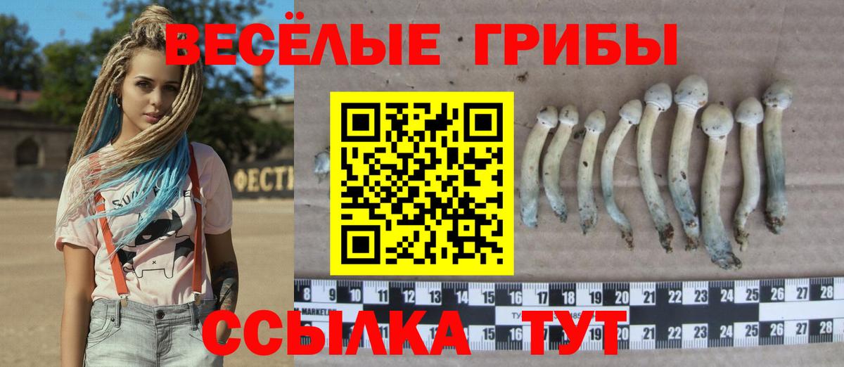 Галлюциногенные грибы Psilocybe Орёл